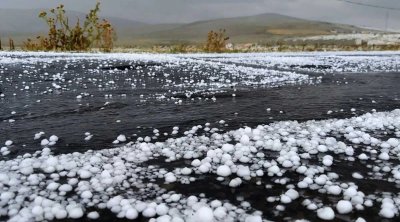Ordubad və Şahbuz rayonlarına dolu düşdü