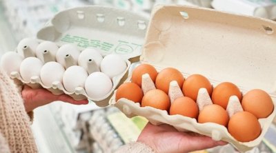 Bu ölkə ilk dəfə olaraq süni yumurta YARATDI
