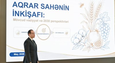 Nazir: &ldquo;Təəssüf ki, artan ət istehsalı istehlakı qarşılaya bilmir&rdquo;