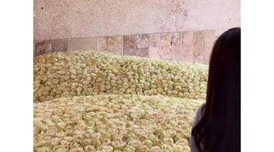 Bakıda 5001 qızıl gül kimə verilib? - VİDEO
