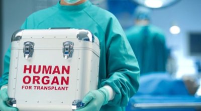 Baş nazirdən sümük iliyi transplantasiyası ilə bağlı QƏRAR