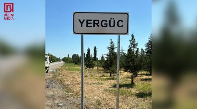 Xaçmaz sakini uzunqulağın dişləməsi nəticəsində dünyasını dəyişdi – ÖZƏL