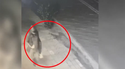 70 minlik qızıl oğurladığı evin sahibinin gödəkçəsini geyinib qaçdı - Video