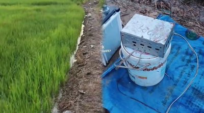 Zaqatala deyil, Kambocadır...– Video