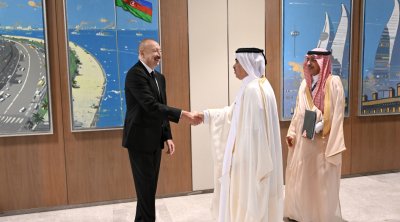 Prezident Ərəb Koordinasiya Qrupuna daxil olan üzv qurumların rəhbər şəxslərini qəbul etdi - FOTO