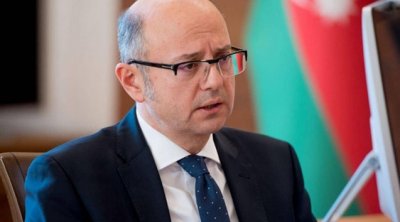 Pərviz Şahbazova AĞIR İTKİ