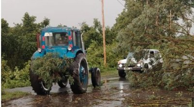 Qaxda qeyri-sabit hava şəraiti: Ağaclar aşdı, işıq kəsildi - FOTO