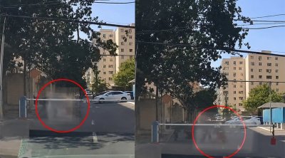Bakıda sınan ağac budağı qadının üzərinə düşdü - ANBAAN VİDEO