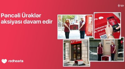 &ldquo;Pəncəli Ürəklər&rdquo; aksiyası çərçivəsində sahibsiz heyvanlar üçün yuvaların sayı 35-ə çatdı