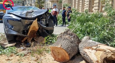 Bakının mərkəzində sükanı bloklanan maşın ağaca çırpıldı &ndash; FOTO
