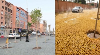 Bu yollara asfalt əvəzinə süngər döşənir