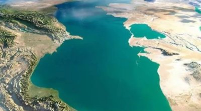 Xəzər dənizindəunikal TAPINTI:suyu təbii təmizləyir - FOTO