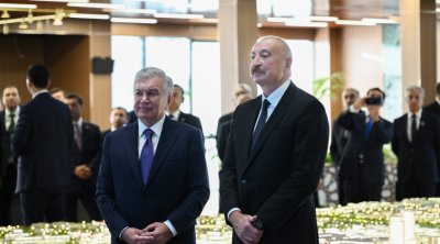 &ldquo;Yeni Daşkənd&rdquo; layihəsi İlham Əliyevə təqdim edildi &ndash; FOTO/VİDEO