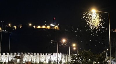 Hər il təkrarlanan "Kəpənəklərin ölüm rəqsi"nin səbəbi bilindi &ndash; Erkəyini öldürən dişilər