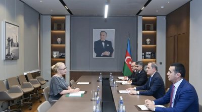 Ceyhun Bayramov İsveçin yeni səfiri ilə görüşdü – FOTO