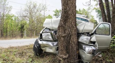 Qazaxda avtomobil ağaca çırpıldı: İki qardaş xəsarət aldı