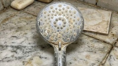 Sirkə və sodanı unudun: Duş başlığını təzə kimi edir