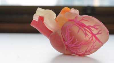 Ürəyi uzunmüddətli qorumağın yeni üsulu tapıldı