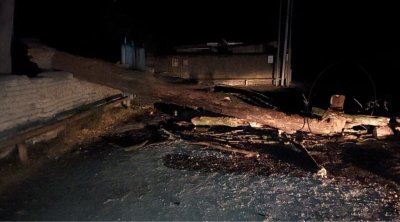 Güclü külək Lənkəranda bir sıra fəsadlara səbəb oldu - FOTO