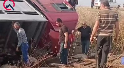 Sürücü yuxulayıb maşını aşırdı - Heyvanlar tələf oldu