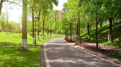 Bakıda yeni park salınır - 35 MİLYON MANAT AYRILDI