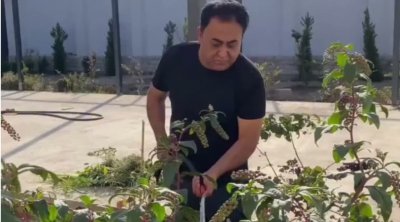 Elgiz bağ evini nümayiş etdirdi - (Video)
