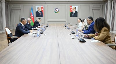 Əli Əsədov Rəqəmsal Əməkdaşlıq Təşkilatının Baş katibi ilə GÖRÜŞDÜ - FOTO