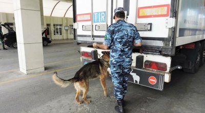 Gömrükdəki nüfuz alverinə görə cinayət işi başlanıb