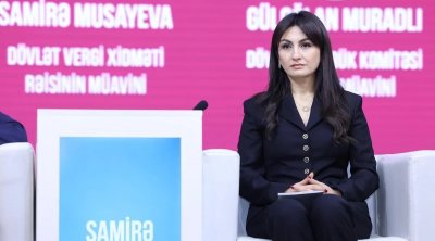 "Qeyri-neft-qaz sektorunda 100 manat gəlir üçün 1,16 manat xərcləyirik"