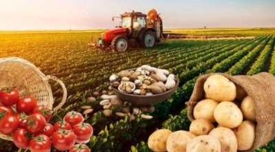 2030-cu ildə Azərbaycanın kənd təsərrüfatı və ərzaq məhsullarının ixracı 6 milyard dollara yüksələcək