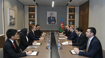 Azərbaycanla İndoneziya arasında siyasi məshələtləşmələr keçirildi – FOTO