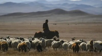 Azərbaycanlı çobanın Ermənistana keçməsinin TƏFƏRRÜATI