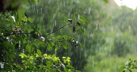 Bir sıra ərazilərə yağış, Şahdağa sulu qar yağıb - FAKTİKİ HAVA