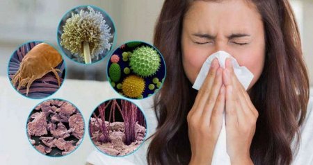İsti hava ilə bağlı XƏBƏRDARLIQ – Bu allergenlərin yayılma riski YÜKSƏKDİR