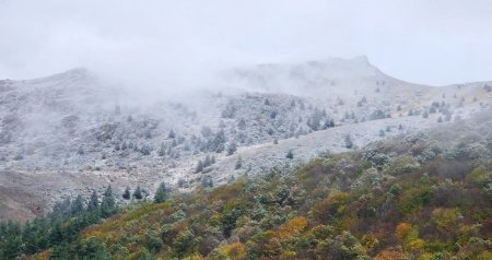 Laçın ağ örpəyə BÜRÜNDÜ - FOTO