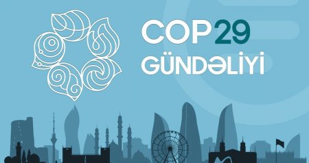 COP29 gündəliyi - 14.11.2024