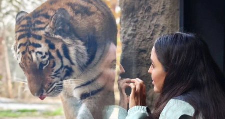 Leyla Əliyeva Bakı Zooloji Parkında - FOTO