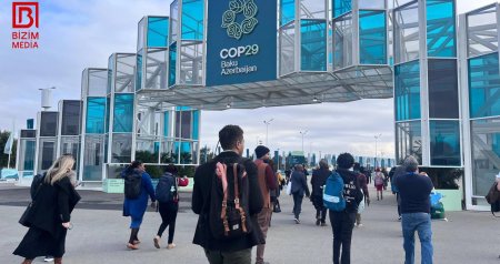 COP29-un 11-ci günündən FOTOREPORTAJ