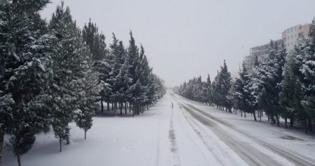 Bakıda qarlı və şaxtalı hava davam edir – FAKTİKİ HAVA