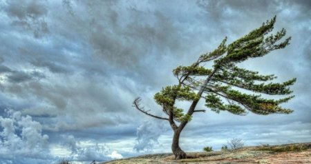 Hava KƏSKİN DƏYİŞİR – Temperatur enəcək, külək GÜCLƏNƏCƏK