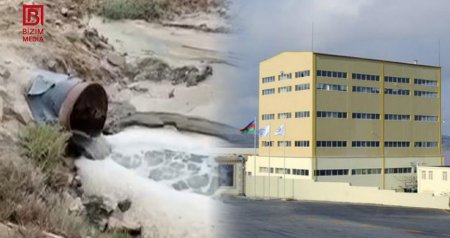 Masazır gölünə qarışan KANALİZASİYA – “Azərsun” çirkaba batmış duzu bizə yedizdirir?