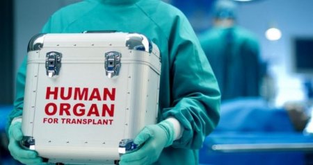 Məhkumların orqanlarını bağışlaması niyə QADAĞANDIR?