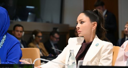 Mehriban Əliyeva BMT Baş Assambleyası çərçivəsində xüsusi sessiyada iştirak etdi – FOTO
