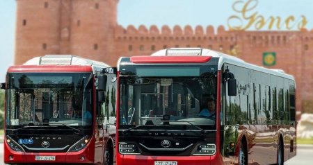 Gəncədə 22 avtobus marşrutu fəaliyyətə BAŞLAYIR