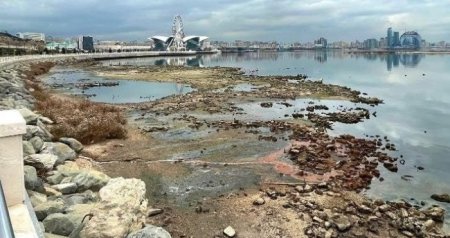 Xəzərlə bağlı TƏHLÜKƏ BÖYÜYÜR – Bu sürətlə qurumağa davam etsə...