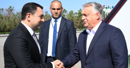 Orban Qəbələdədir – FOTO
