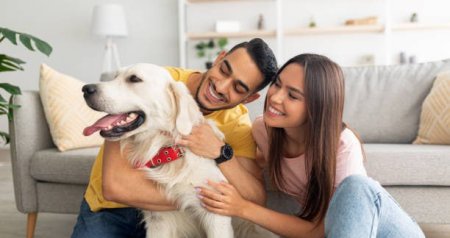 Zamanın acı REALLIĞI – Gənclər niyə uşaq yox, ev heyvanı böyütməyə üstünlük verir?