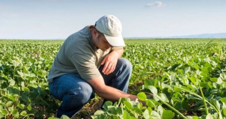 Rəsmi işi olmayan kəndlilərin ORTAQ PROBLEMİ – Necə kredit götürsünlər?