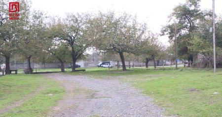 Qaxın Əmbərçay kəndində QIŞ KABUSU – Sakinlər istilik yoxdur deyə, kəndi tərk edir – FOTO