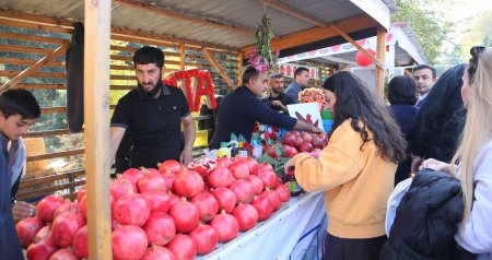 Göyçay narının kilosu 10 manata yüksəldi - Satışında REKORD HƏDD